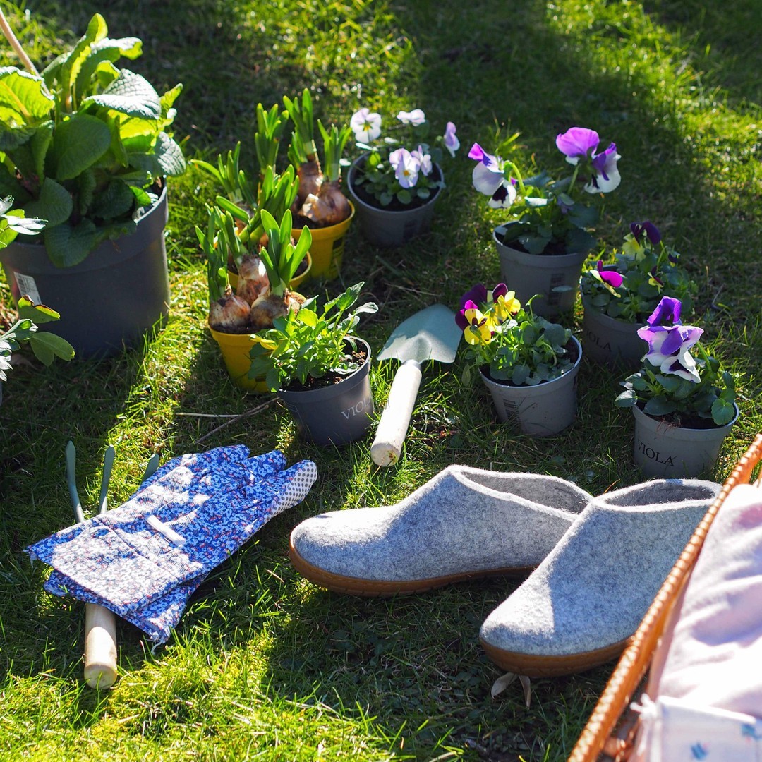 Auch im Garten 339519460_591552626248922_8618754438488965290_n